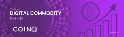 Digital Commodity (Dijital Emtia) Nedir?